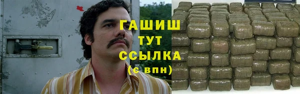 PSILOCYBIN Алагир