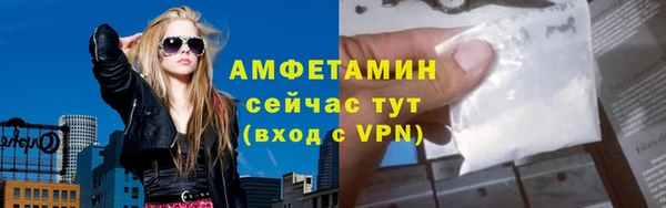 PSILOCYBIN Алагир