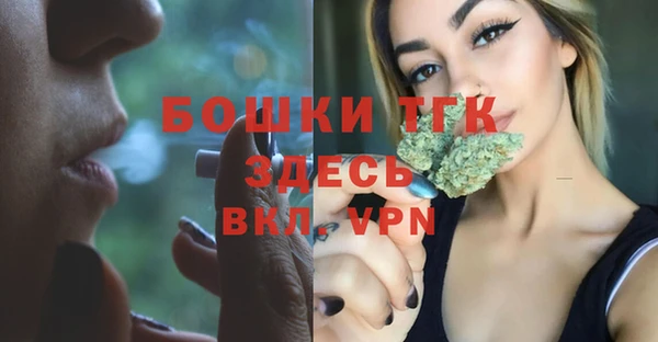 эйфоретик Грязовец