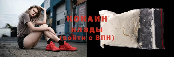 крисы Дегтярск