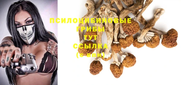 PSILOCYBIN Алагир