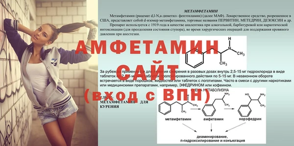 PSILOCYBIN Алагир