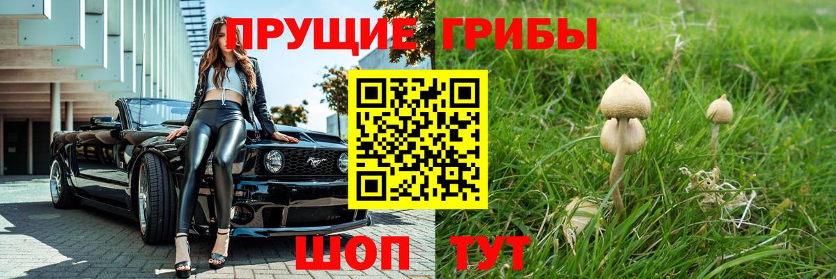 Псилоцибиновые грибы Cubensis Апатиты